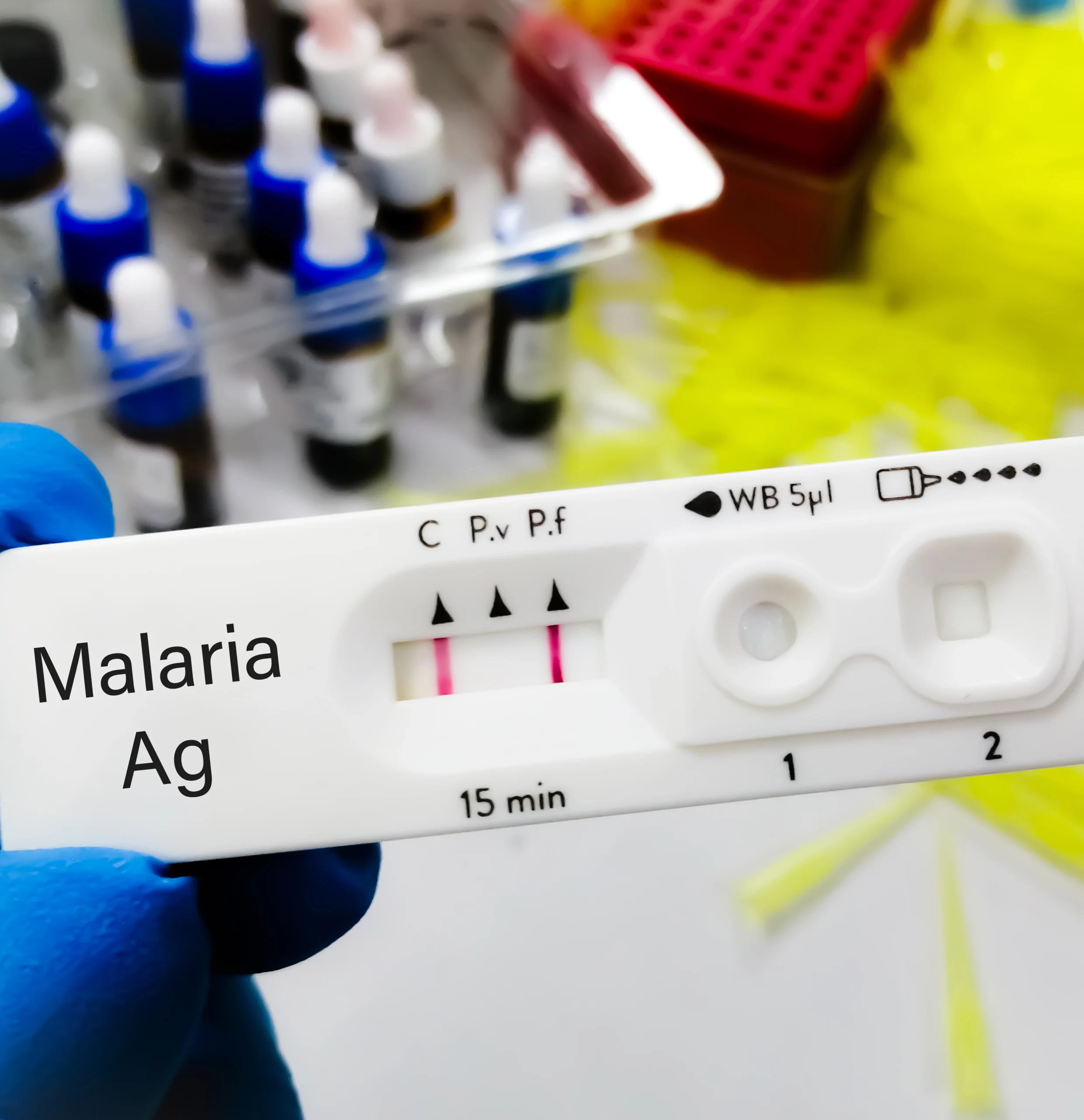 Luxury bath & body placeholder